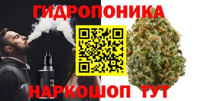 трава Партизанск