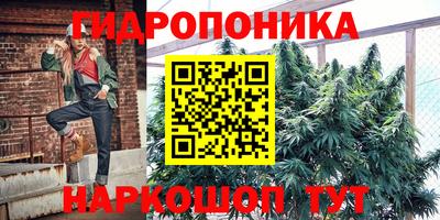 трава Партизанск