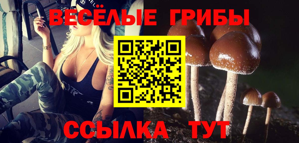 Псилоцибиновые грибы прущие грибы  Вход с VPN  Советский  Галлюциногенные грибы мухоморы 